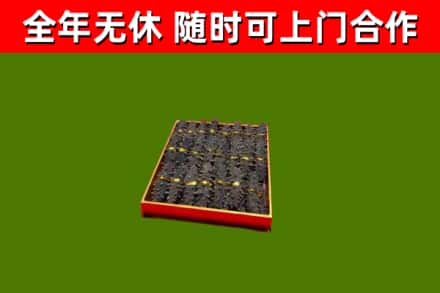 河北回收海参